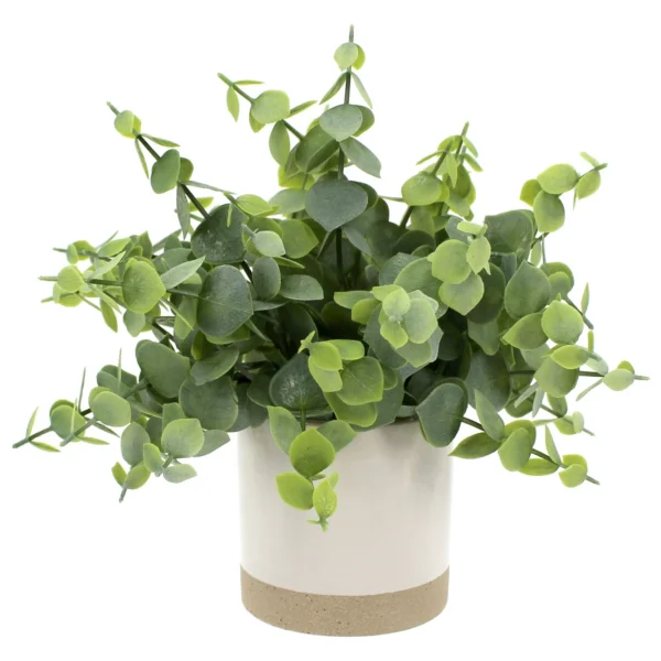 Artificial Green Eucalyptus Plant in Two-Tone Glazed Ceramic Planter