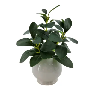 Artificial Peperomia Plant in White Color Ceramic Pot